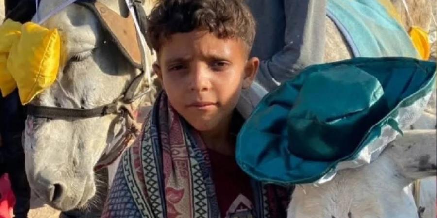 رداء
      التكريم
      للحمار
      في
      غزة..
      شريك
      الفلسطيني
      في
      مواجهة
      الحصار - تكنو بلس