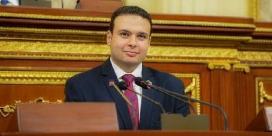 عبد المنعم إمام عن ملكية الدولة قانونًا فى الشركات: خطوة إيجابية طال انتظارها