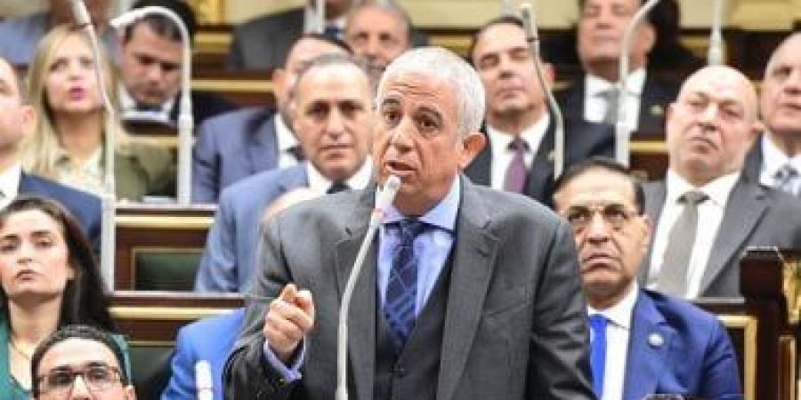رئيس خارجية النواب يشيد بموازنة وزارة الخارجية: أداء رائع فى ظل تقشف مستمر