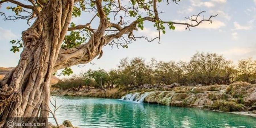 زيارة صلالة في الخريف تجربة حسية لا تُنسى - تكنو بلس