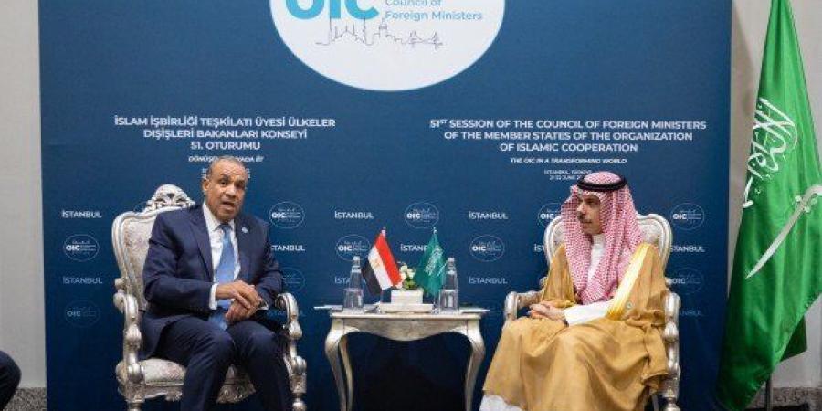 مصر
      والسعودية
      تناقشان
      تداعيات
      التصعيد
      بين
      إسرائيل
      وإيران
      على
      المنطقة - تكنو بلس